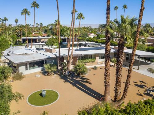 Modern Palms