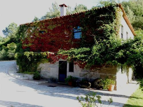 Agroturismo Casa No Douro - Quinta de Pias
