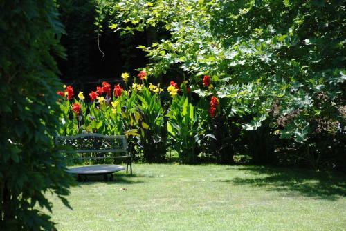 Agroturismo Casa No Douro - Quinta de Pias