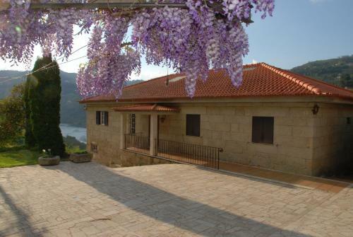 Agroturismo Casa No Douro - Quinta de Pias