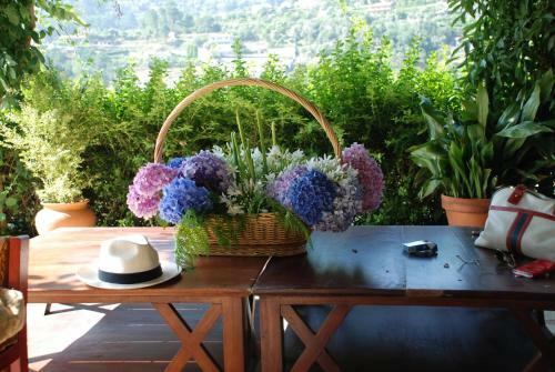 Agroturismo Casa No Douro - Quinta de Pias