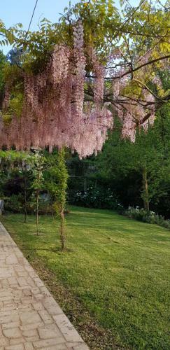 Agroturismo Casa No Douro - Quinta de Pias