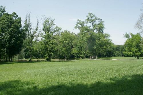 Hotel Villa Scati
