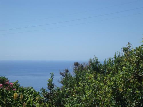 Madeira Wine Cottages