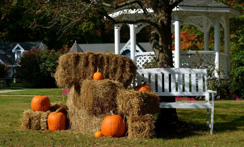 The Victoria Inn Bed & Breakfast And Pavilion