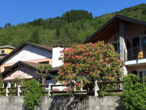 Hotel Garni Viggiona