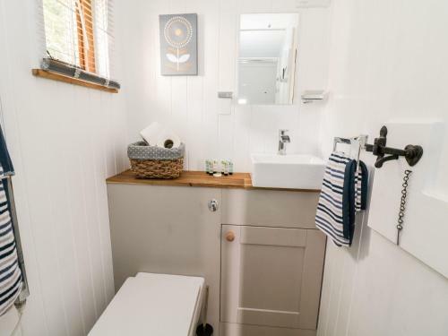 Betws View, Shepherd Hut