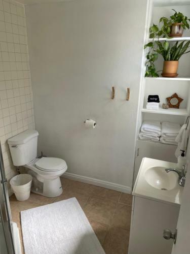 Cheerful 1 Bedroom Beach Cottage. On The Oceanside!