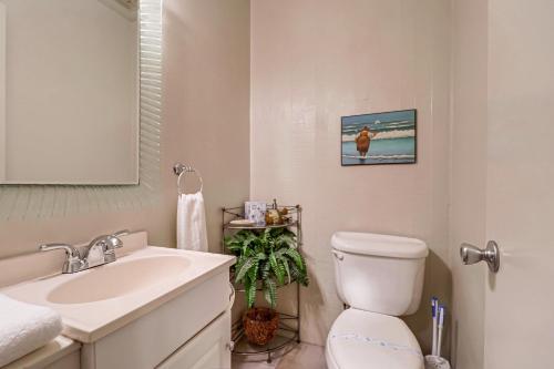 La Palma Sanctuary Unit #10