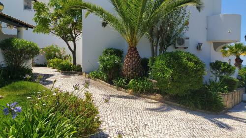 Three Palms Apartment
