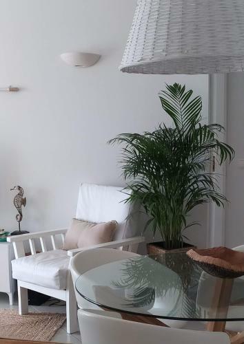 Three Palms Apartment