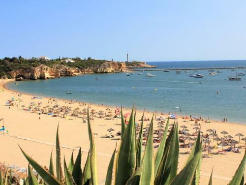 Apartamento Ocean Terraces By Vila Gaivota D