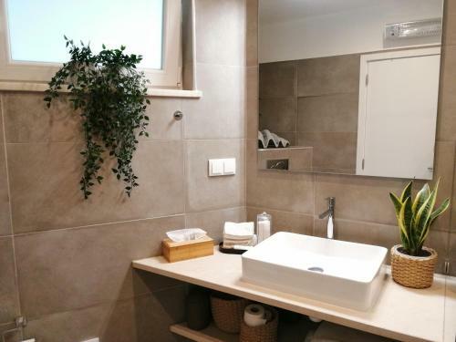 Apartamento Ocean Terraces By Vila Gaivota D