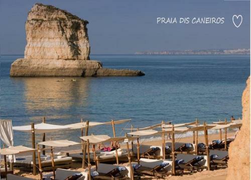 Apartamento Ocean Terraces By Vila Gaivota D