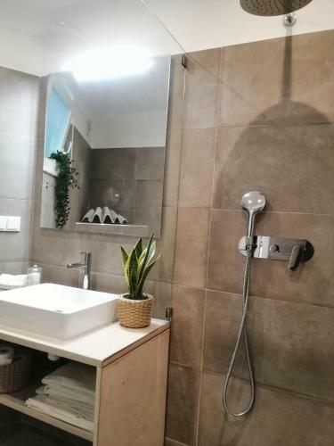 Apartamento Ocean Terraces By Vila Gaivota D
