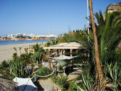 Apartamento Ocean Terraces Vila Gaivota I