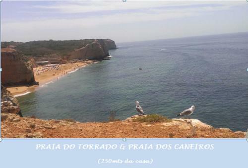 Apartamento Ocean Terraces Vila Gaivota I