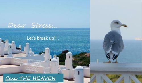 Apartamento Ocean Terraces Vila Gaivota H