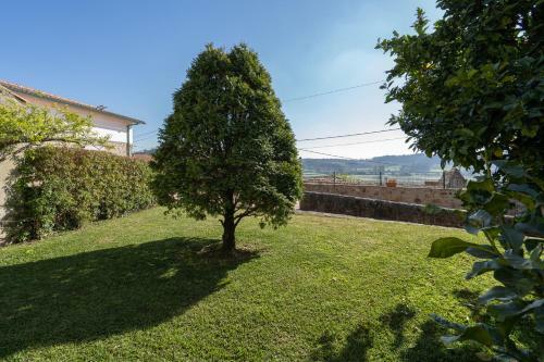 Casa Da Cerca
