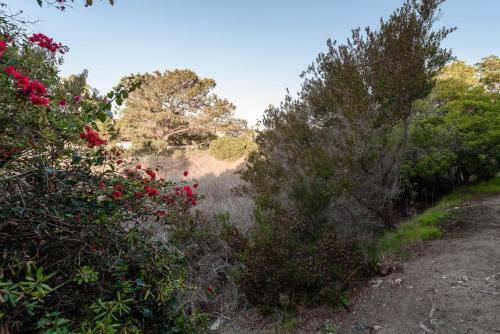 Apartamento Sunny Studio 9 Mins Walk To Del Mar Shores Beach