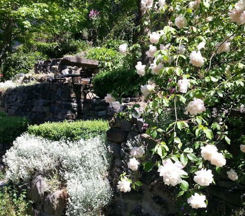 Bed & Breakfast La Grande Maison