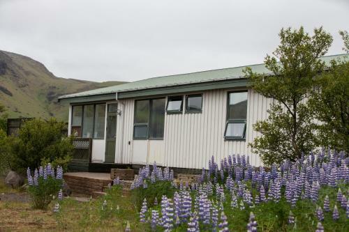 Hotel H�tel Sk�gafoss