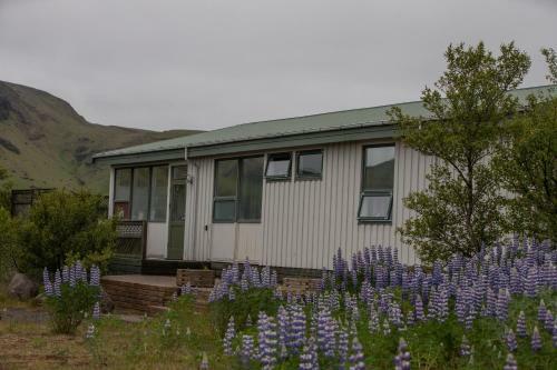 Hotel H�tel Sk�gafoss