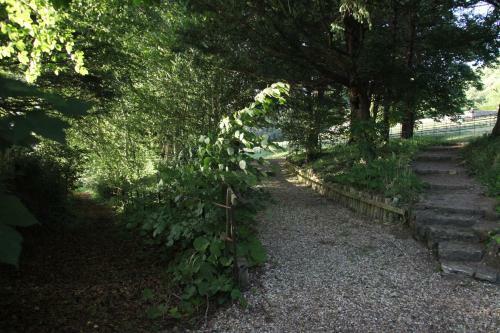Lodge Spacious Home In Bath, Nature And City!