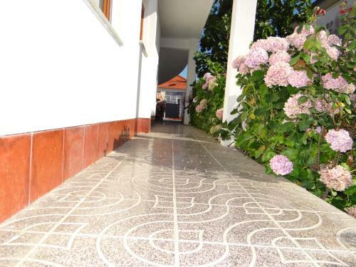 Ribeiro�s House