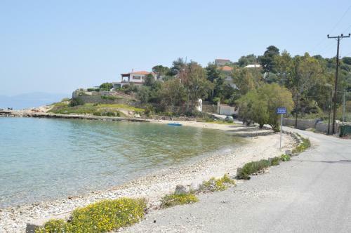 Epipleon Suites