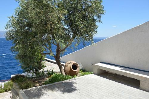 Epipleon Suites