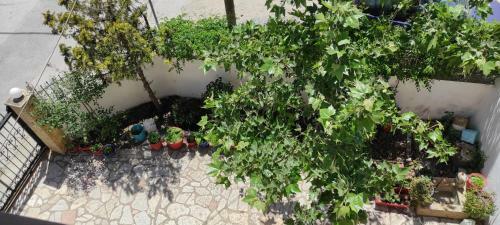 Apartamento Casa Stella