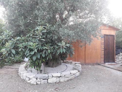 Mitato Private Villa