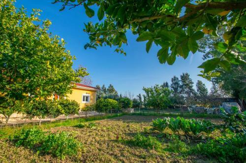 Loukas Farm House
