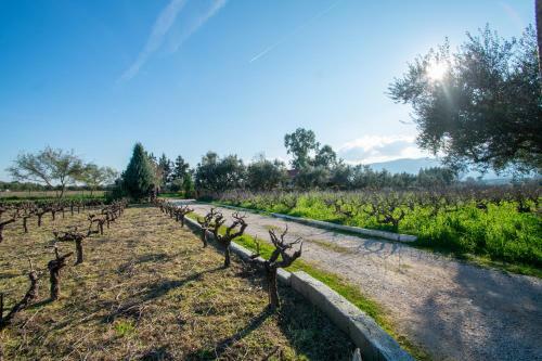 Loukas Farm House