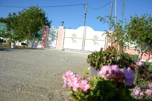Villa Vicky Corfu