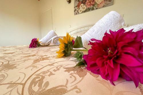 Villa Vicky Corfu