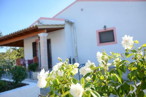 Villa Vicky Corfu