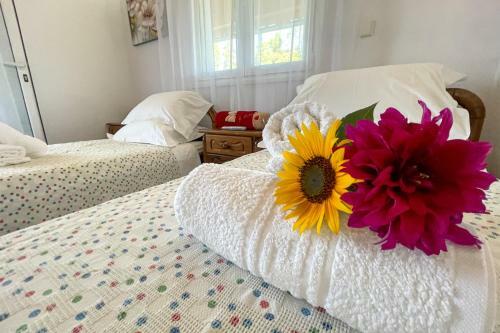 Villa Vicky Corfu