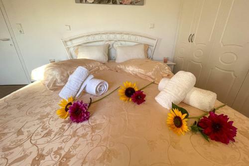 Villa Vicky Corfu