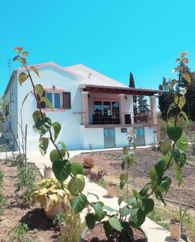 Villa Vicky Corfu