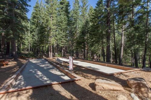 Silver Tree Sanctuary