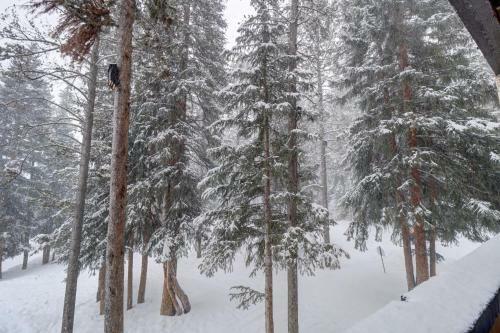 Apartamento Cm216 Copper Mountain Inn 3br 3ba Condo