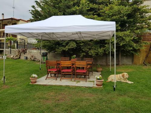 Athina's Home 1