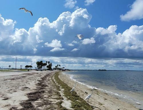 New Sandy Villa Retreat On Dunedin Causeway