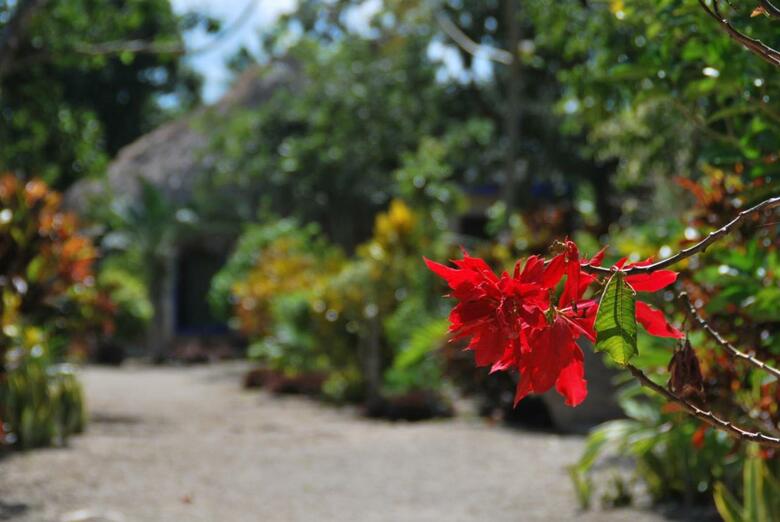 Hotel Villas Ecotucan
