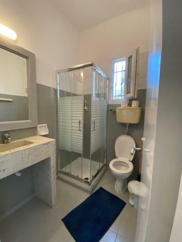 Olive Grove Poolside Apartments