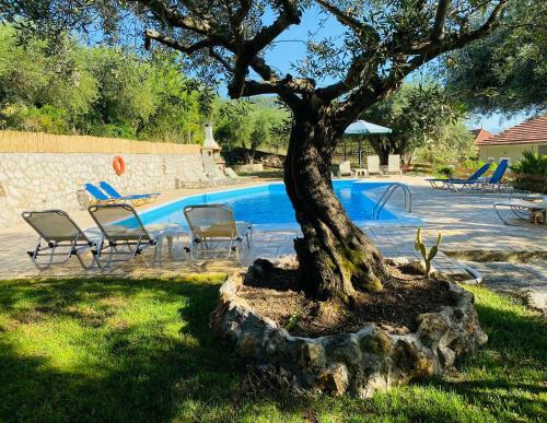 Olive Grove Poolside Apartments