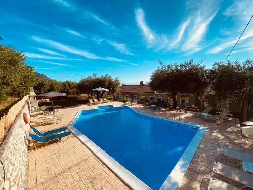 Olive Grove Poolside Apartments