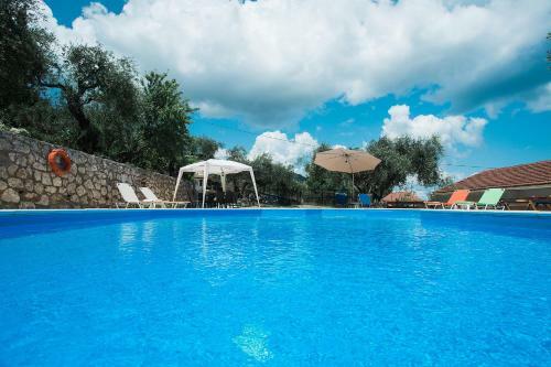 Olive Grove Poolside Apartments